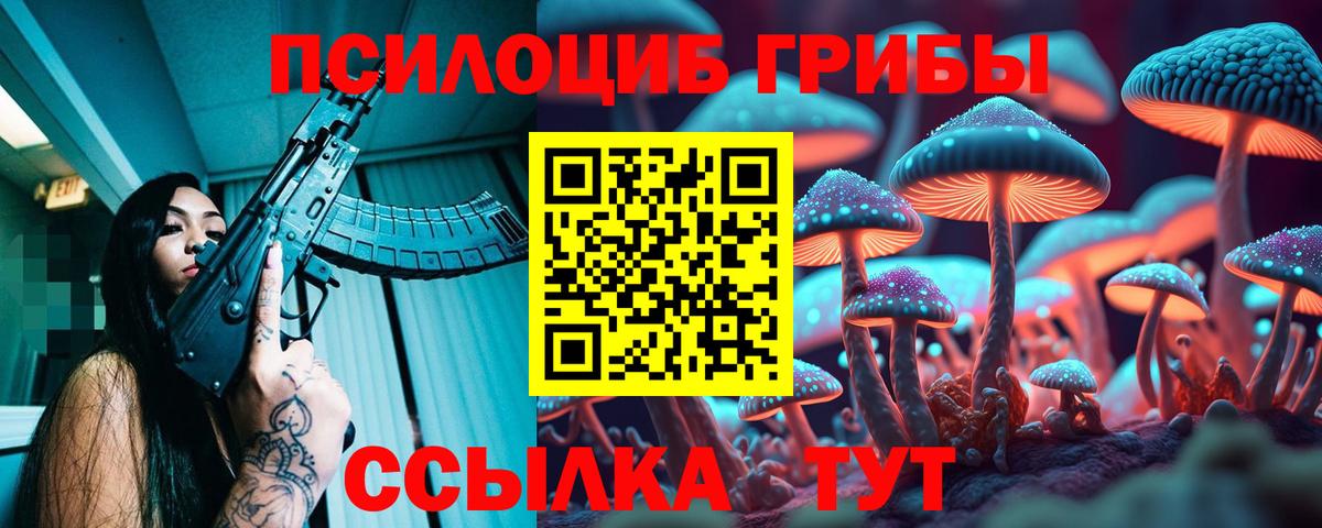 Аргун  где продают   Вход с VPN  Галлюциногенные грибы мицелий 